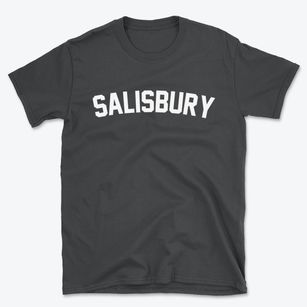 Salisbury Maryland Classic Curve Basic T-Shirt