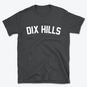 Dix Hills New York Classic Curve Basic T-Shirt
