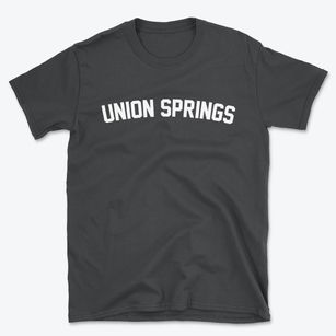 Union Springs New York Classic Curve Basic T-Shirt