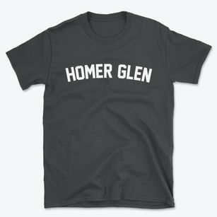 Homer Glen Illinois Classic Curve Basic T-Shirt