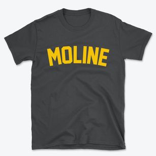 Moline Kansas Classic Curve Basic T-Shirt
