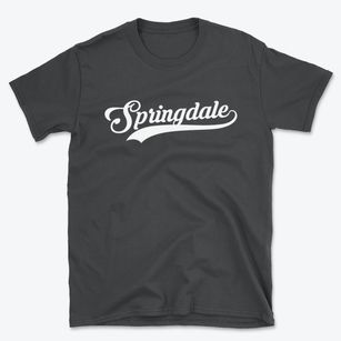 Springdale South Carolina Vintage Team Basic T-Shirt