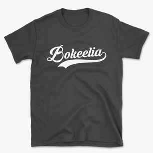 Bokeelia Florida Vintage Team Basic T-Shirt