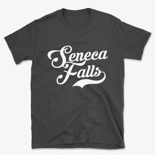 Seneca Falls New York Vintage Team Basic T-Shirt