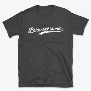 Briarcliff Manor New York Vintage Team Basic T-Shirt