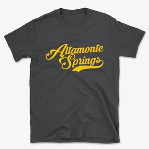Altamonte Springs Florida Vintage Team Basic T-Shirt