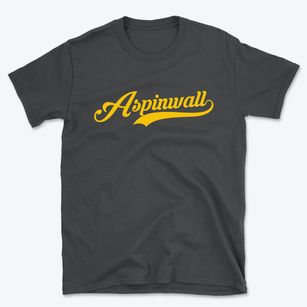 Aspinwall Pennsylvania Vintage Team Basic T-Shirt