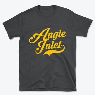 Angle Inlet Minnesota Vintage Team Basic T-Shirt