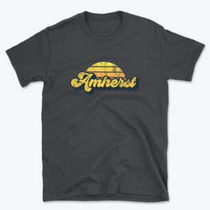 Amherst Wisconsin Sublime Sunset Basic T-Shirt