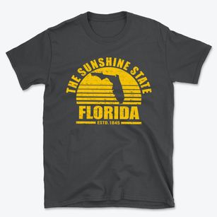  Florida Sunset Basic T-Shirt
