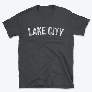 Lake City Pennsylvania Timeless Retro Basic T-Shirt