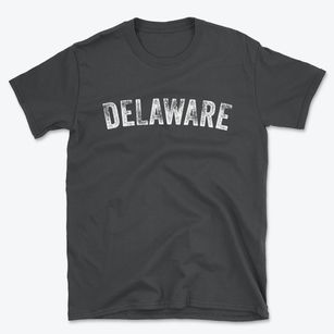 Delaware New York Timeless Retro Basic T-Shirt