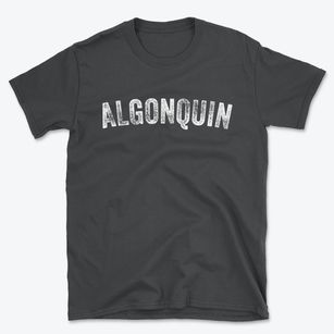 Algonquin Maryland Timeless Retro Basic T-Shirt