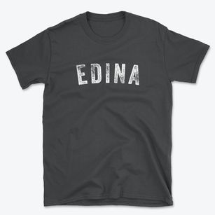 Edina Missouri Timeless Retro Basic T-Shirt
