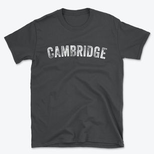 Cambridge Iowa Timeless Retro Basic T-Shirt