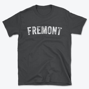 Fremont Iowa Timeless Retro Basic T-Shirt