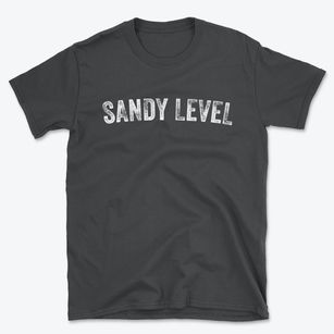 Sandy Level Virginia Timeless Retro Basic T-Shirt