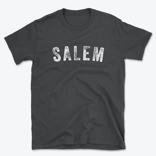 Salem Illinois Timeless Retro Basic T-Shirt