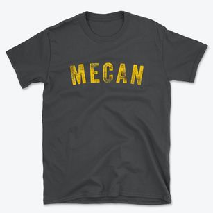 Mecan Wisconsin Timeless Retro Basic T-Shirt