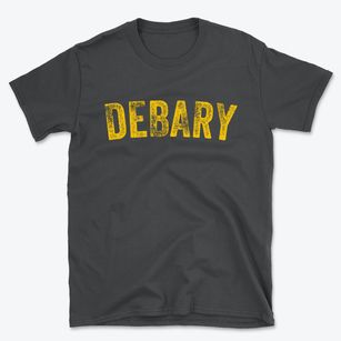 Debary Florida Timeless Retro Basic T-Shirt