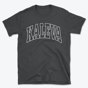 Kaleva Michigan Trendy Block Basic T-Shirt