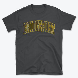 Bridgeport Michigan Trendy Block Basic T-Shirt