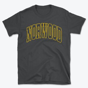 Norwood North Carolina Trendy Block Basic T-Shirt