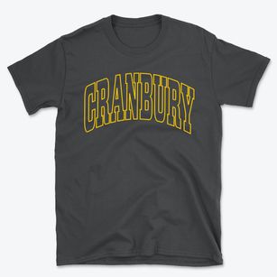 Cranbury New Jersey Trendy Block Basic T-Shirt