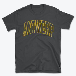 Antwerp Ohio Trendy Block Basic T-Shirt