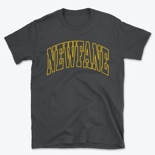 Newfane Vermont Trendy Block Basic T-Shirt