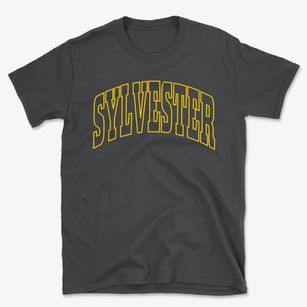 Sylvester Wisconsin Trendy Block Basic T-Shirt