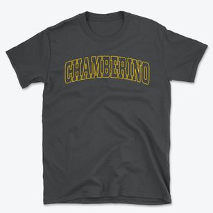 Chamberino New Mexico Trendy Block Basic T-Shirt