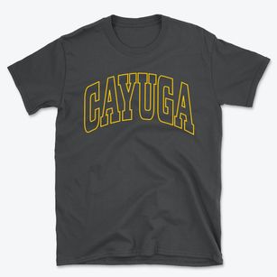 Cayuga New York Trendy Block Basic T-Shirt