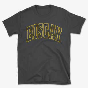 Biscay Minnesota Trendy Block Basic T-Shirt