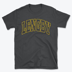 Lengby Minnesota Trendy Block Basic T-Shirt