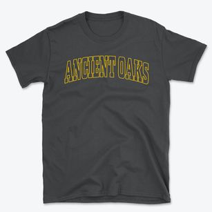 Ancient Oaks Pennsylvania Trendy Block Basic T-Shirt