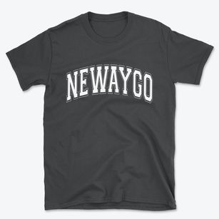 Newaygo Michigan Varsity Basic T-Shirt