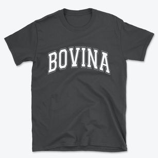 Bovina New York Varsity Basic T-Shirt