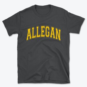 Allegan Michigan Varsity Basic T-Shirt