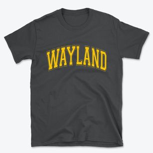 Wayland New York Varsity Basic T-Shirt