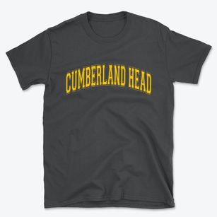 Cumberland Head New York Varsity Basic T-Shirt