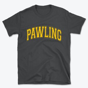 Pawling New York Varsity Basic T-Shirt