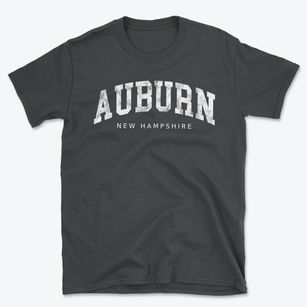 Auburn New Hampshire Urban Vibe Basic T-Shirt