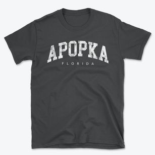 Apopka Florida Urban Vibe Basic T-Shirt