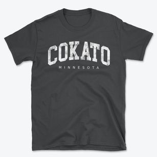 Cokato Minnesota Urban Vibe Basic T-Shirt