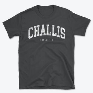 Challis Idaho Urban Vibe Basic T-Shirt