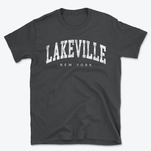 Lakeville New York Urban Vibe Basic T-Shirt