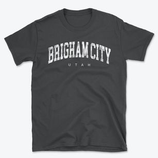 Brigham City Utah Urban Vibe Basic T-Shirt