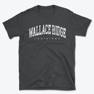 Wallace Ridge Louisiana Urban Vibe Basic T-Shirt