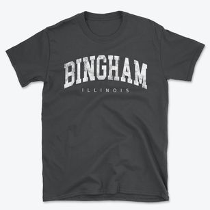 Bingham Illinois Urban Vibe Basic T-Shirt